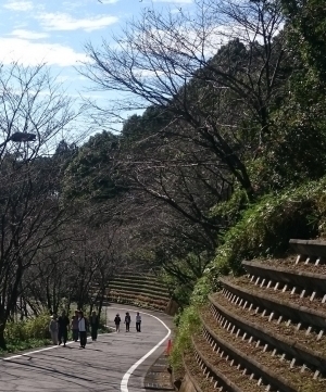 作業療法室です。ピクニックへ！！