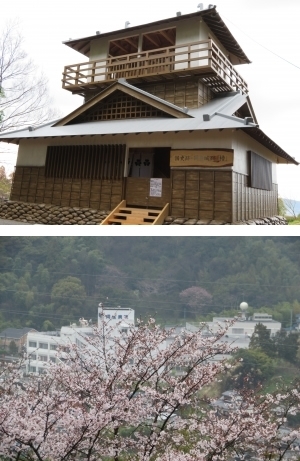 作業療法室です。2017年お花見です。