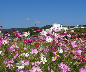 作業療法室です。秋の散歩へ。